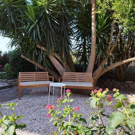 La Domus Di Cosa Bed & Breakfast Ansedonia Exterior photo