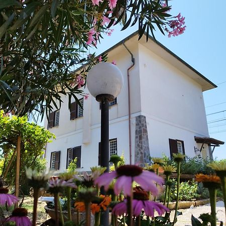 La Domus Di Cosa Bed & Breakfast Ansedonia Exterior photo