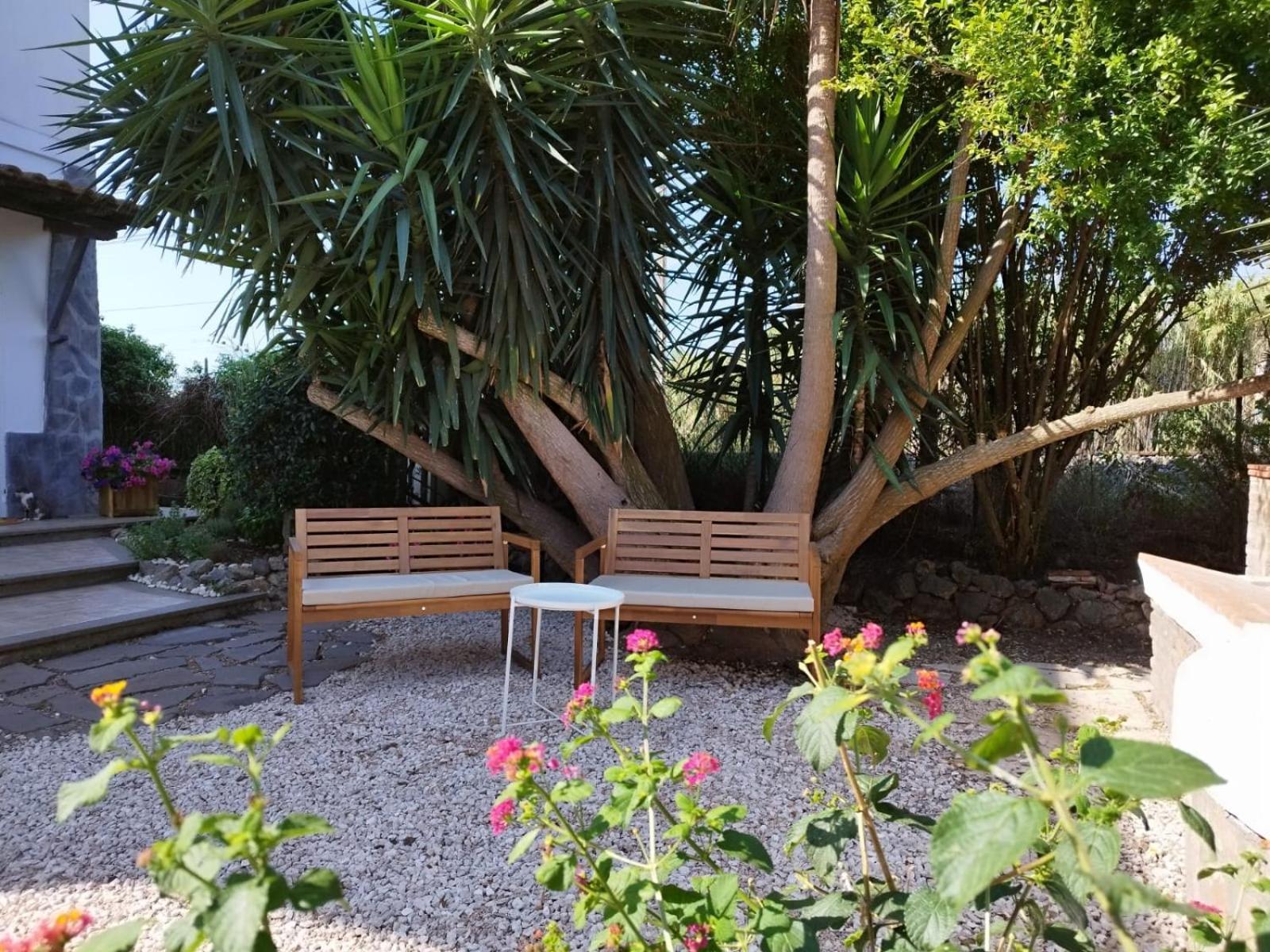 La Domus Di Cosa Bed & Breakfast Ansedonia Exterior photo