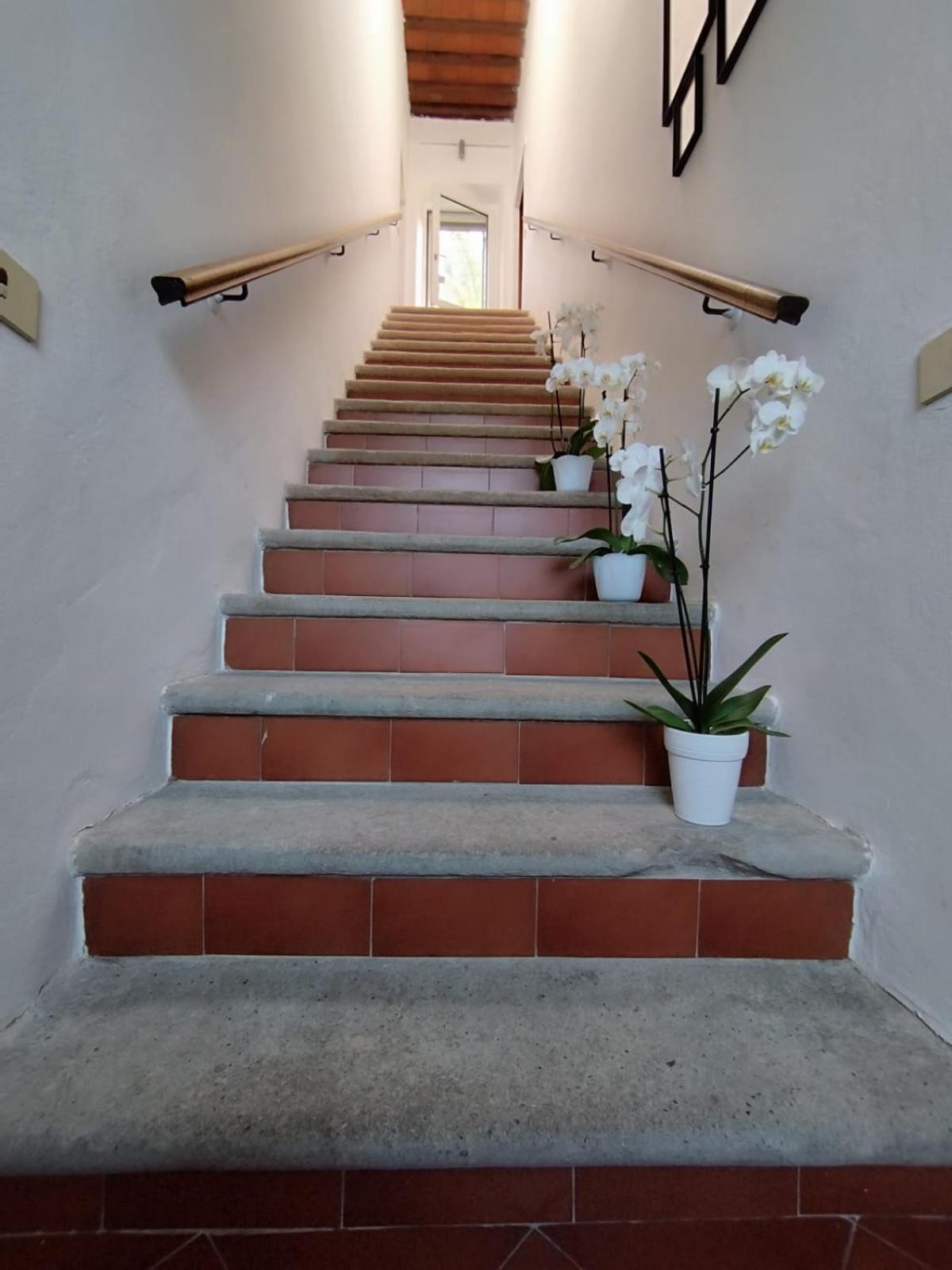 La Domus Di Cosa Bed & Breakfast Ansedonia Exterior photo