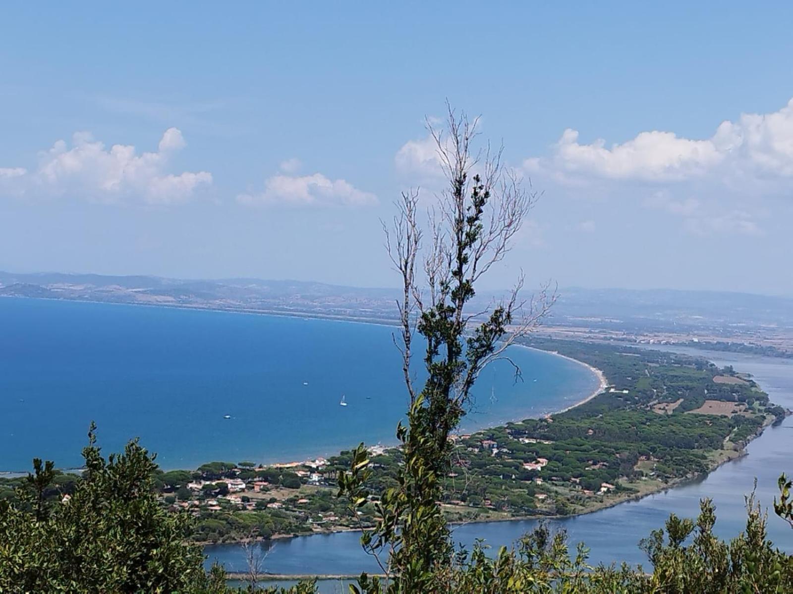 La Domus Di Cosa Bed & Breakfast Ansedonia Exterior photo