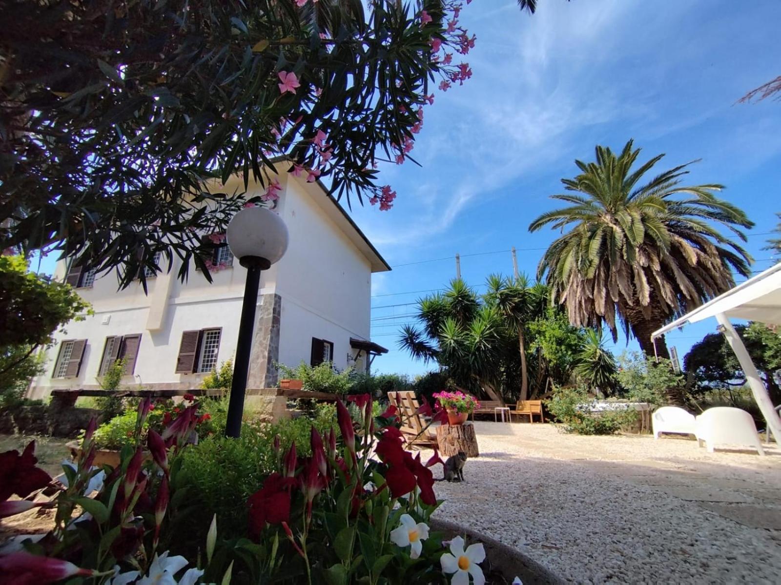 La Domus Di Cosa Bed & Breakfast Ansedonia Exterior photo